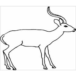 Раскраска: антилопа (Животные) #22591 - Бесплатные раскраски для печати