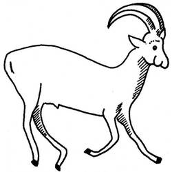 Раскраска: антилопа (Животные) #22592 - Бесплатные раскраски для печати