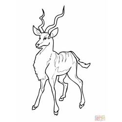 Раскраска: антилопа (Животные) #22598 - Бесплатные раскраски для печати