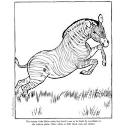 Раскраска: антилопа (Животные) #22612 - Бесплатные раскраски для печати