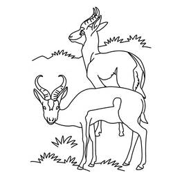 Раскраска: антилопа (Животные) #22613 - Бесплатные раскраски для печати