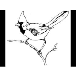 Раскраска: антилопа (Животные) #22641 - Бесплатные раскраски для печати