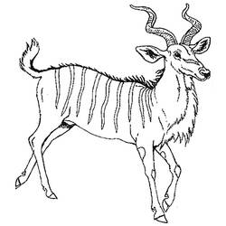 Раскраска: антилопа (Животные) #22645 - Бесплатные раскраски для печати
