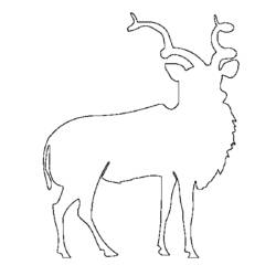 Раскраска: антилопа (Животные) #22658 - Бесплатные раскраски для печати