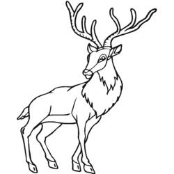 Раскраска: антилопа (Животные) #22659 - Бесплатные раскраски для печати