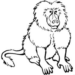 Раскраска: бабуин (Животные) #775 - Бесплатные раскраски для печати