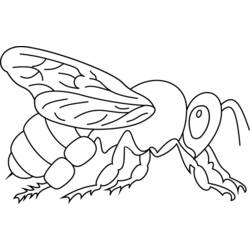 Раскраска: пчела (Животные) #100 - Бесплатные раскраски для печати