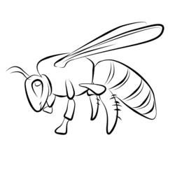 Раскраска: пчела (Животные) #101 - Бесплатные раскраски для печати
