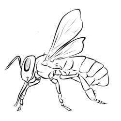 Раскраска: пчела (Животные) #125 - Бесплатные раскраски для печати