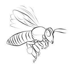 Раскраска: пчела (Животные) #126 - Бесплатные раскраски для печати