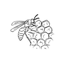 Раскраска: пчела (Животные) #142 - Бесплатные раскраски для печати