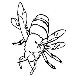 Раскраска: пчела (Животные) #82 - Бесплатные раскраски для печати