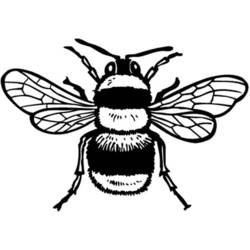 Раскраска: пчела (Животные) #97 - Бесплатные раскраски для печати