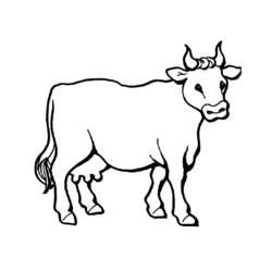 Раскраска: говядина (Животные) #1340 - Бесплатные раскраски для печати