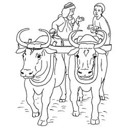 Раскраска: говядина (Животные) #1356 - Бесплатные раскраски для печати