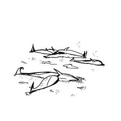 Раскраска: белуга (Животные) #1079 - Бесплатные раскраски для печати