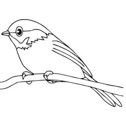 Раскраска: домашняя птица (Животные) #11840 - Бесплатные раскраски для печати