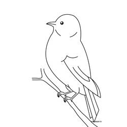 Раскраска: домашняя птица (Животные) #11844 - Бесплатные раскраски для печати