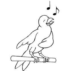 Раскраска: домашняя птица (Животные) #11880 - Бесплатные раскраски для печати