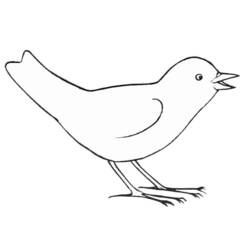 Раскраска: домашняя птица (Животные) #11884 - Бесплатные раскраски для печати