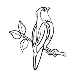 Раскраска: домашняя птица (Животные) #11893 - Бесплатные раскраски для печати