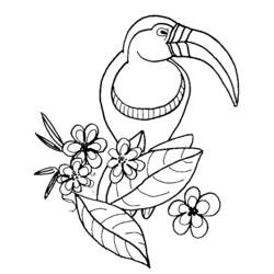 Раскраска: домашняя птица (Животные) #11897 - Бесплатные раскраски для печати