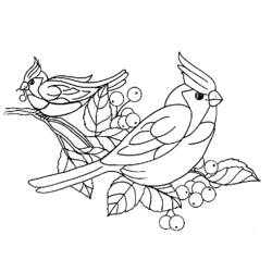 Раскраска: домашняя птица (Животные) #11926 - Бесплатные раскраски для печати
