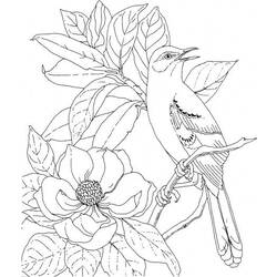Раскраска: домашняя птица (Животные) #11943 - Бесплатные раскраски для печати