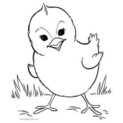 Раскраска: домашняя птица (Животные) #11955 - Бесплатные раскраски для печати