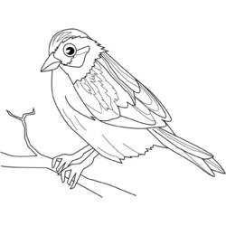Раскраска: домашняя птица (Животные) #11961 - Бесплатные раскраски для печати