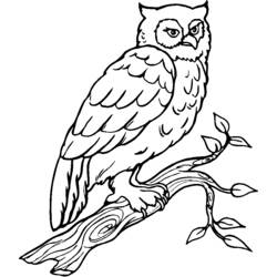 Раскраска: домашняя птица (Животные) #11974 - Бесплатные раскраски для печати