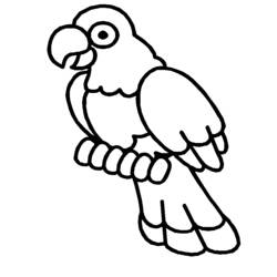 Раскраска: домашняя птица (Животные) #11975 - Бесплатные раскраски для печати