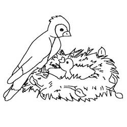 Раскраска: домашняя птица (Животные) #11980 - Бесплатные раскраски для печати