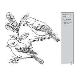 Раскраска: домашняя птица (Животные) #11981 - Бесплатные раскраски для печати