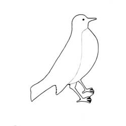 Раскраска: домашняя птица (Животные) #12011 - Бесплатные раскраски для печати