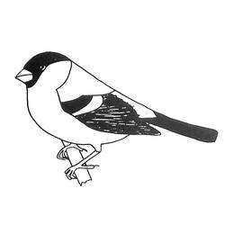 Раскраска: домашняя птица (Животные) #12019 - Бесплатные раскраски для печати