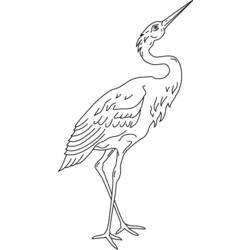 Раскраска: домашняя птица (Животные) #12067 - Бесплатные раскраски для печати