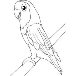 Раскраска: домашняя птица (Животные) #12084 - Бесплатные раскраски для печати