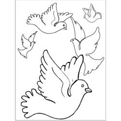 Раскраска: домашняя птица (Животные) #12106 - Бесплатные раскраски для печати