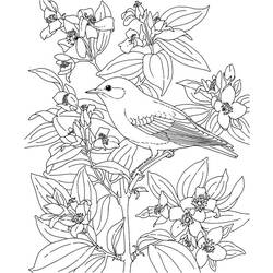 Раскраска: домашняя птица (Животные) #12108 - Бесплатные раскраски для печати