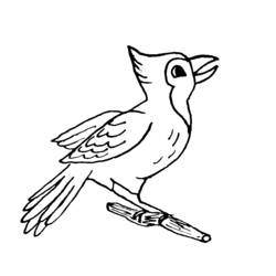 Раскраска: домашняя птица (Животные) #12112 - Бесплатные раскраски для печати