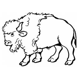Раскраска: бизон (Животные) #1190 - Бесплатные раскраски для печати