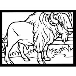 Раскраска: бизон (Животные) #1191 - Бесплатные раскраски для печати