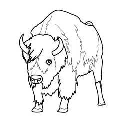 Раскраска: бизон (Животные) #1192 - Бесплатные раскраски для печати