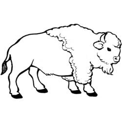 Раскраска: бизон (Животные) #1195 - Бесплатные раскраски для печати
