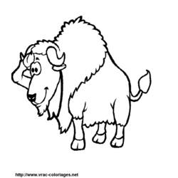 Раскраска: бизон (Животные) #1203 - Бесплатные раскраски для печати