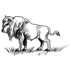Раскраска: бизон (Животные) #1206 - Бесплатные раскраски для печати