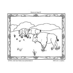 Раскраска: бизон (Животные) #1207 - Бесплатные раскраски для печати