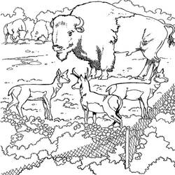 Раскраска: бизон (Животные) #1209 - Бесплатные раскраски для печати