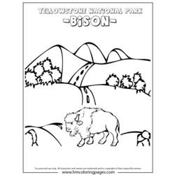 Раскраска: бизон (Животные) #1239 - Бесплатные раскраски для печати